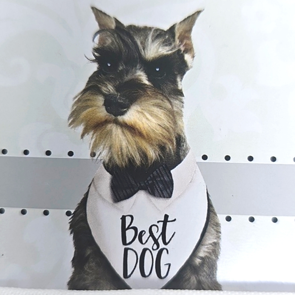 Bandana with Bow Tie - White and Black